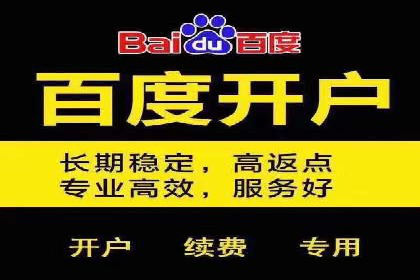案例分析：SEM广告助力旅游行业增长